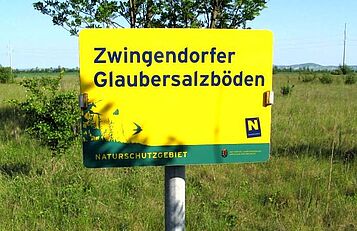 Zwingendorfer Glaubersalzböden, Weinviertel.net