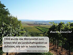 Weinviertel_pixabay
